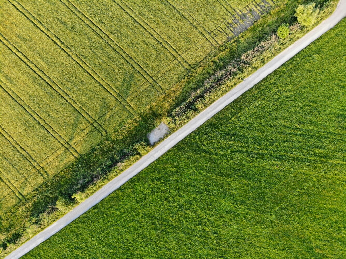 Turn Your Long-Term Lease into Immediate Capital